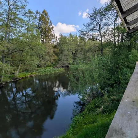 Alpstuga Daemningen At Gammel Rye